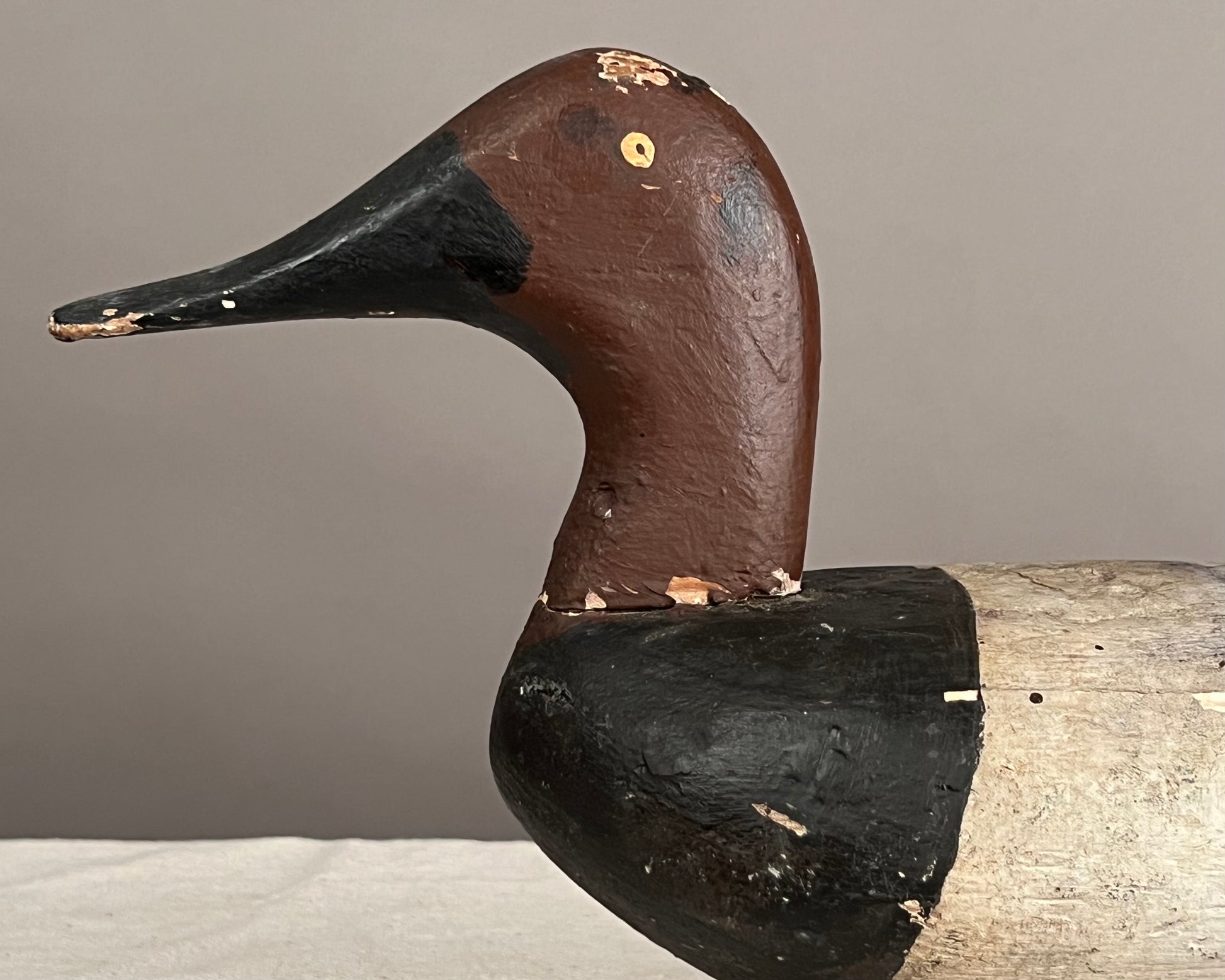 Canvasback Duck Decoy