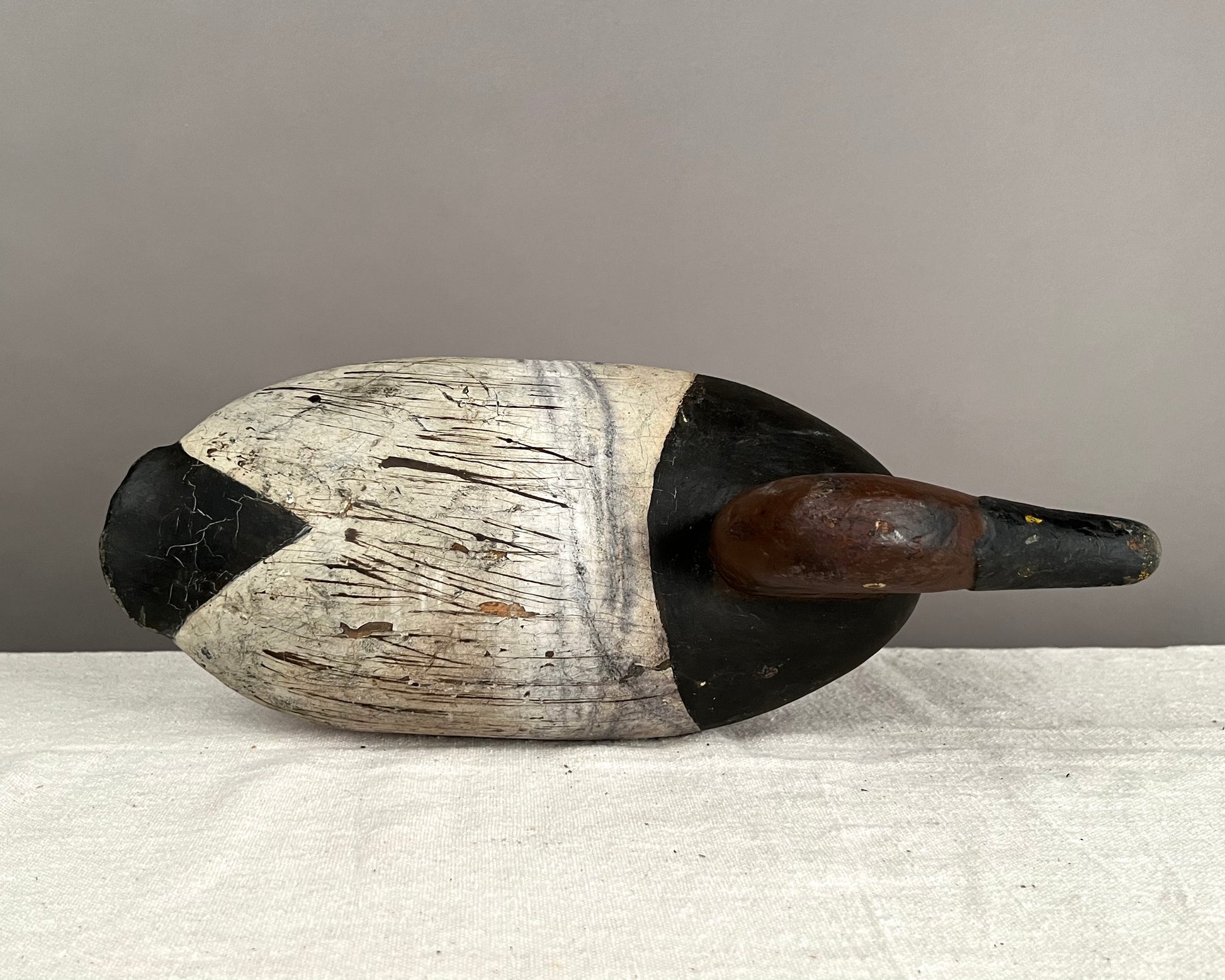 Canvasback Duck Decoy