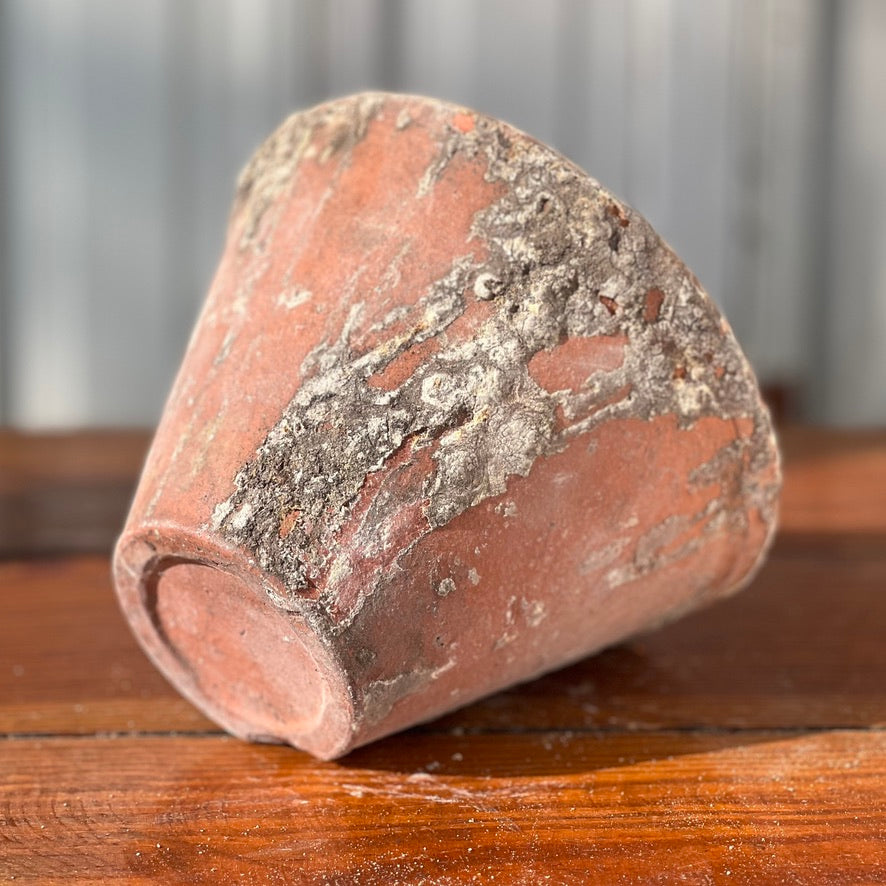 Early 1900s French Handmade Terracotta Pitch Pot