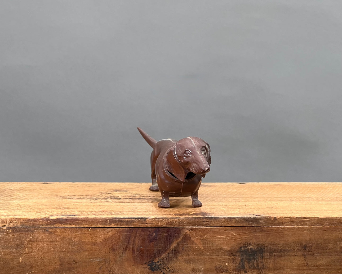 German, Bobble Head Dachshund