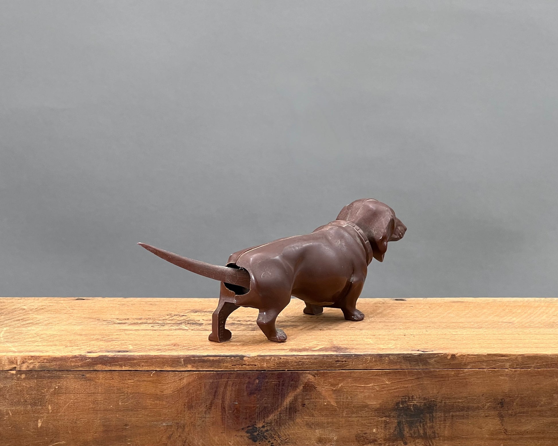 German, Bobble Head Dachshund