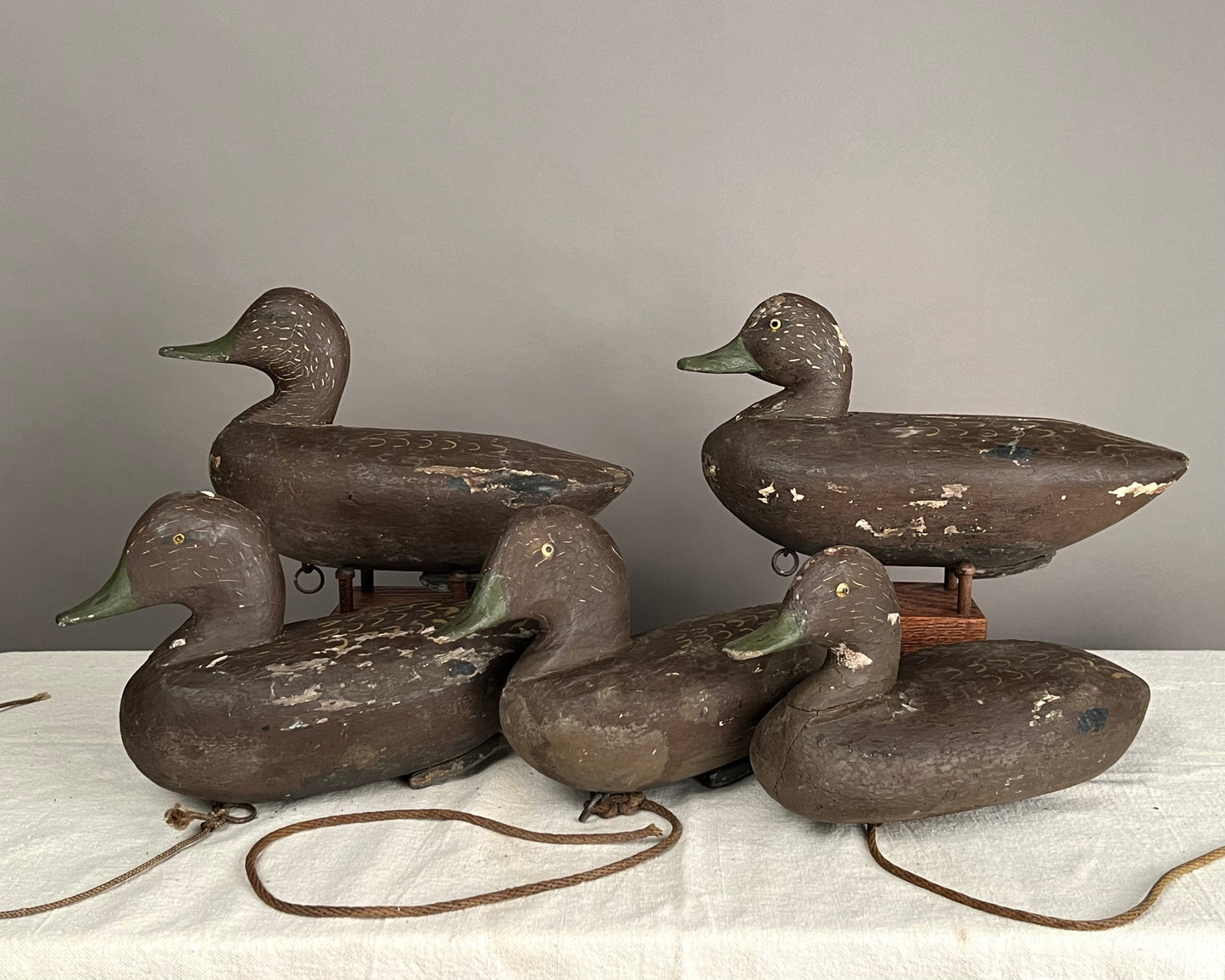 Original Rig of 5 Black Duck Decoys