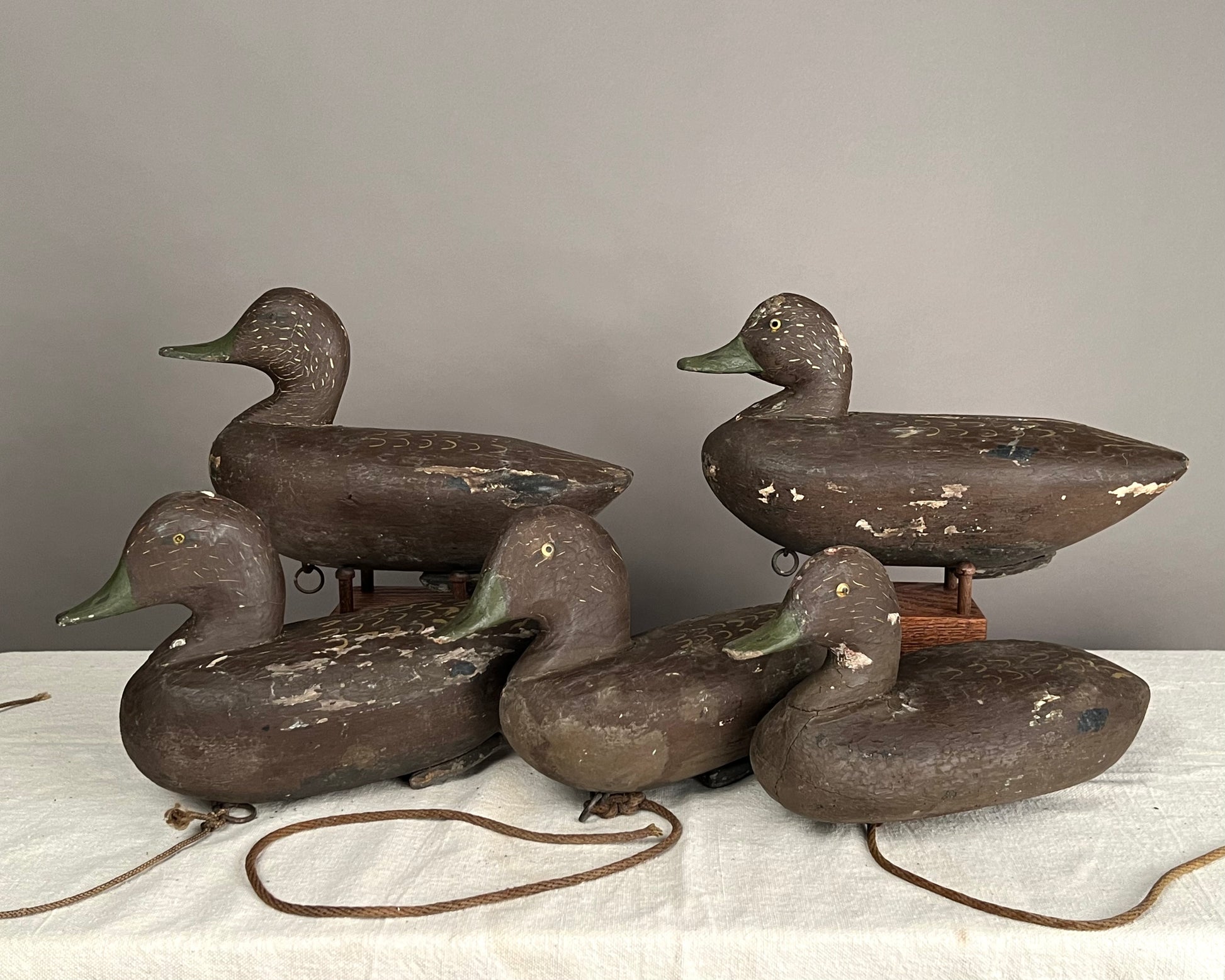 Original Rig of 5 Black Duck Decoys