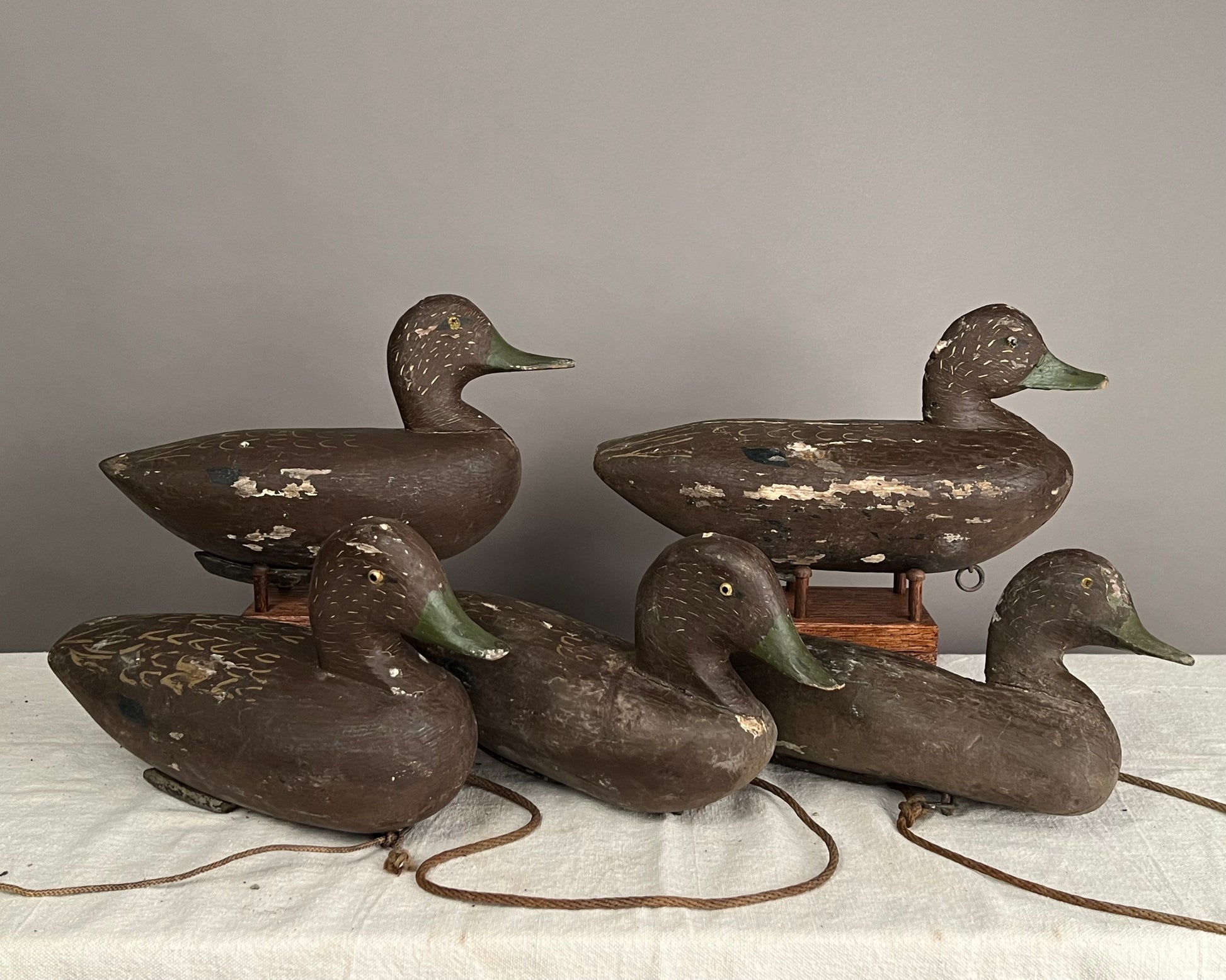 Original Rig of 5 Black Duck Decoys