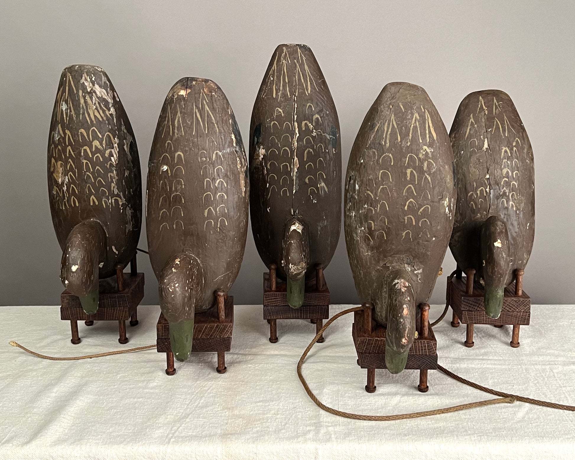 Original Rig of 5 Black Duck Decoys