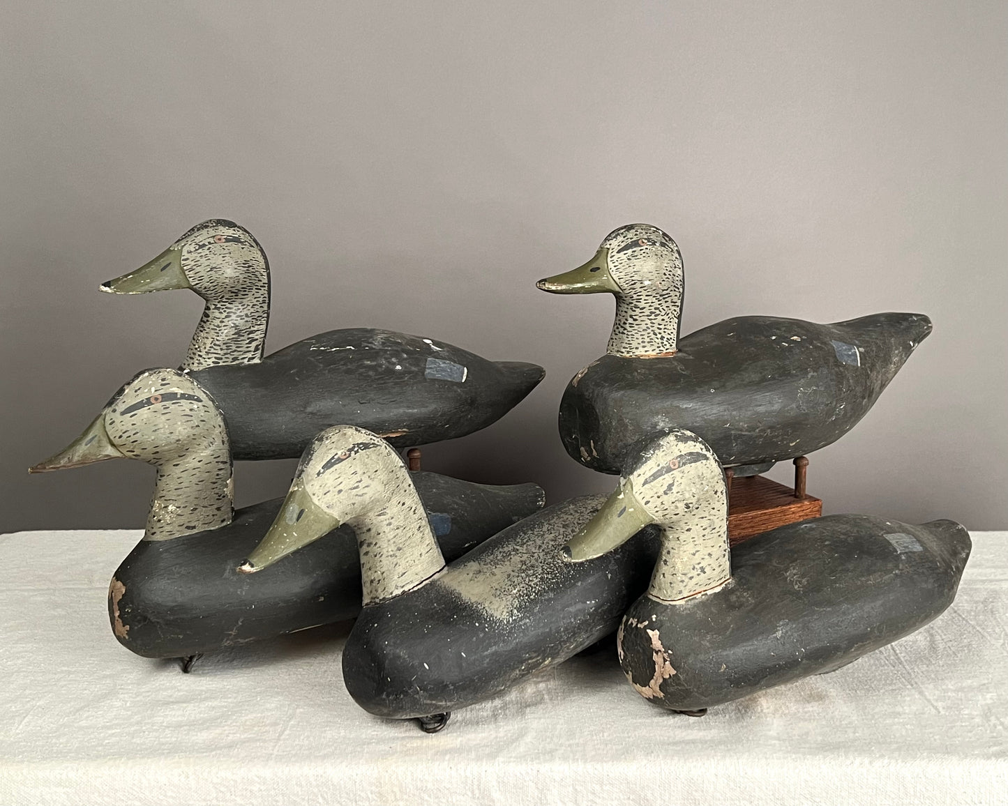 Rig of 5 Black Duck Decoys a