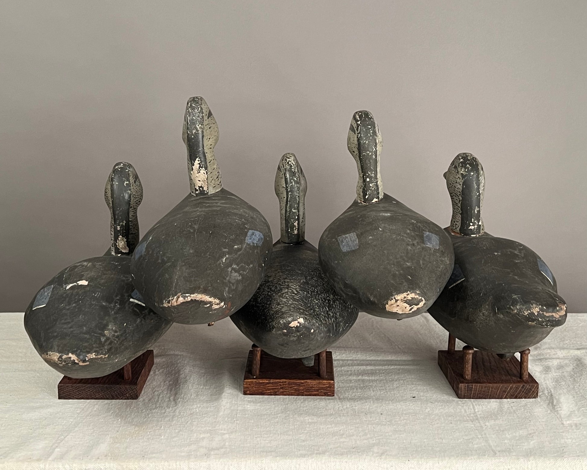 Rig of 5 Black Duck Decoys