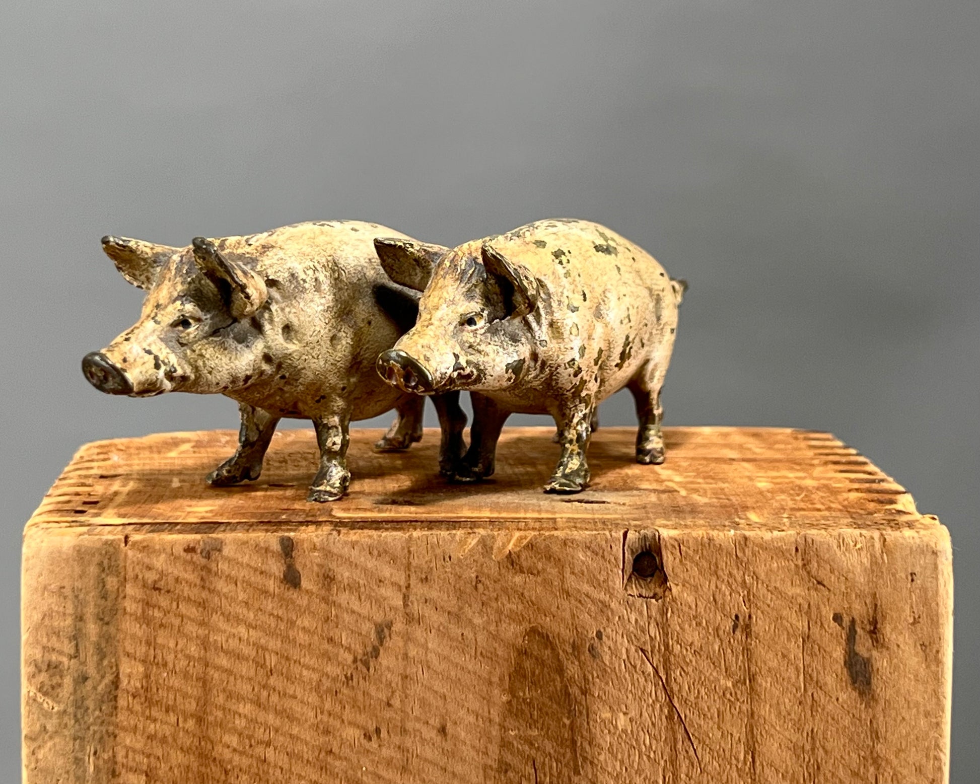 Geschützt, Vienna Bronze Cold Painted Pigs