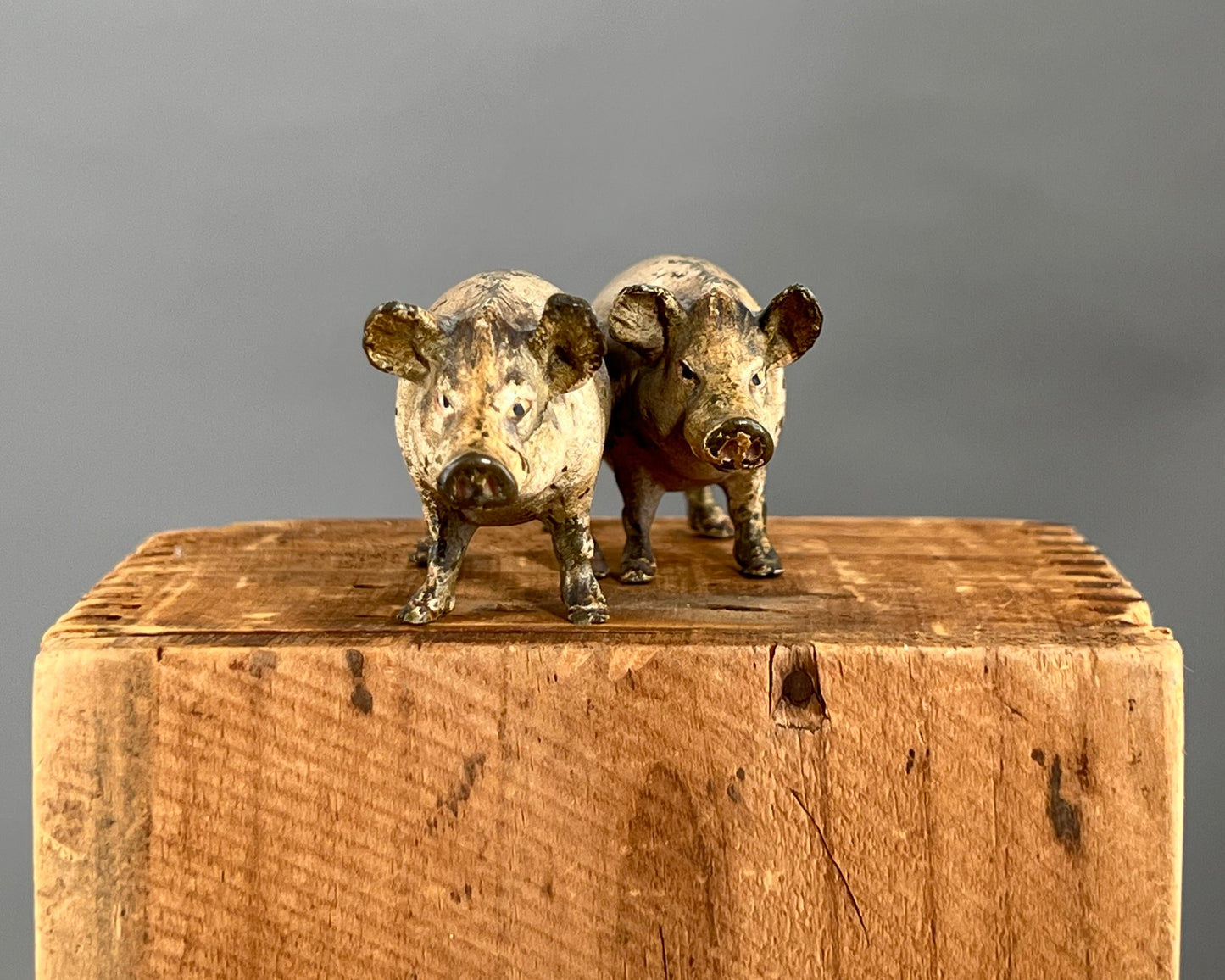 Vienna Bronze Cold Painted Pigs